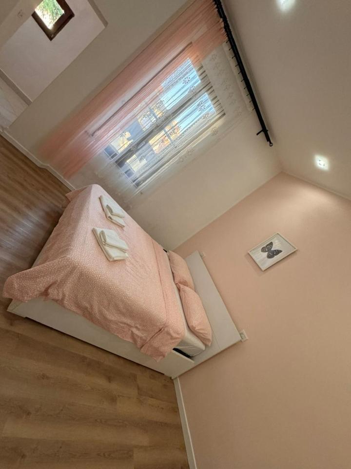 Galileo Pisa Bed and Breakfast Buitenkant foto
